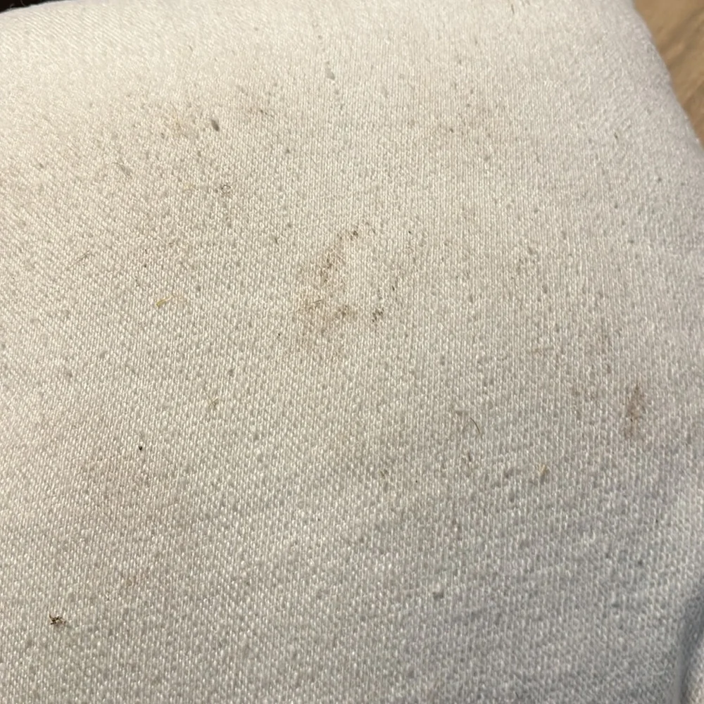 Pottery Barn outdoor pillow